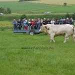 WCC Nagy-Britannia 2012 - DZ